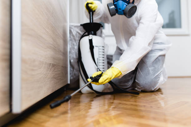 Best Best Pest Control Companies  in Lincolnshire, IL