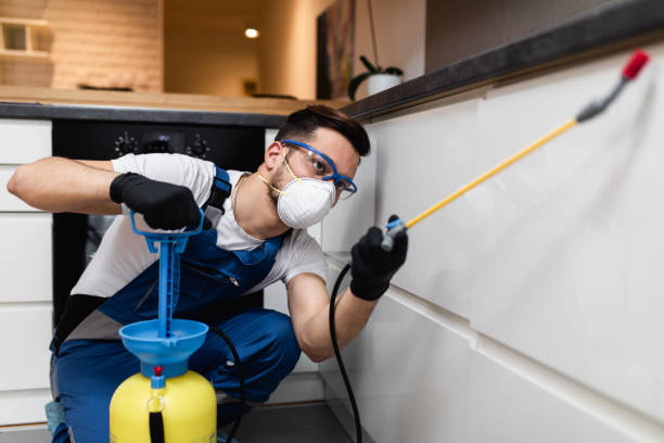 Best Emergency Pest Control  in Lincolnshire, IL