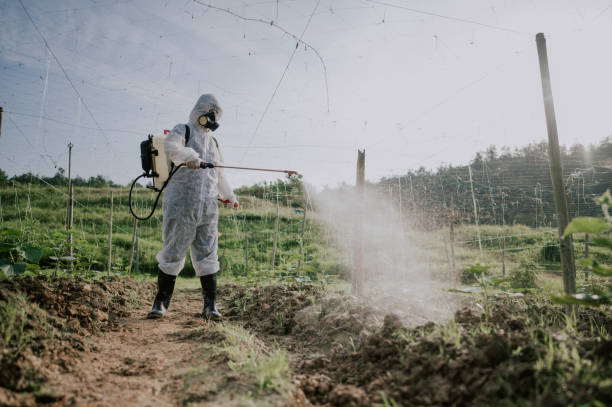 Best Pest Removal Services  in Lincolnshire, IL