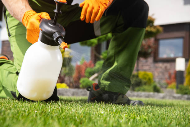 Best Wasp Removal Services  in Lincolnshire, IL
