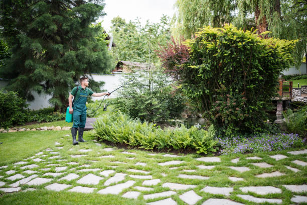 Best Residential Pest Control  in Lincolnshire, IL