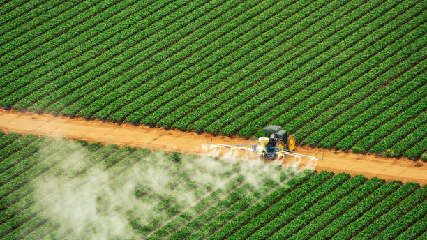 Best Pest Control for Businesses  in Lincolnshire, IL