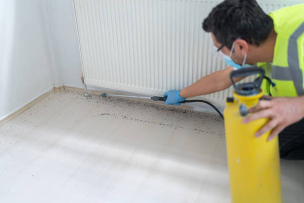 Best Local Pest Control Services  in Lincolnshire, IL