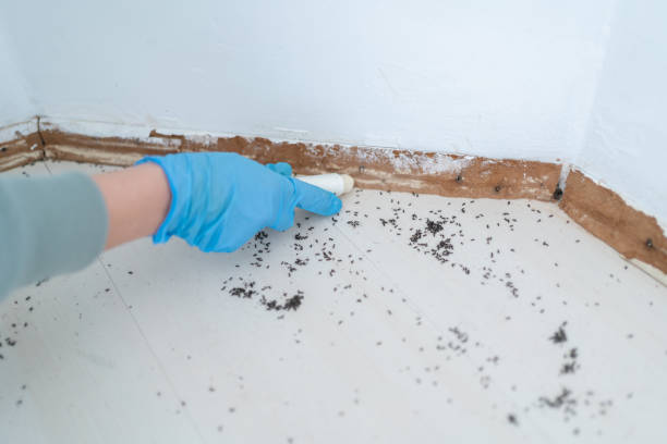 Best Best Pest Control Companies  in Lincolnshire, IL