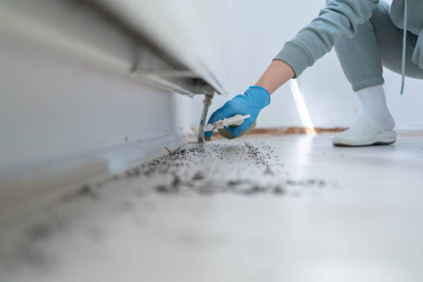 Best Pest Prevention Services  in Lincolnshire, IL