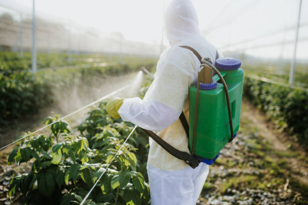 Reliable Lincolnshire, IL Pest Control Solutions